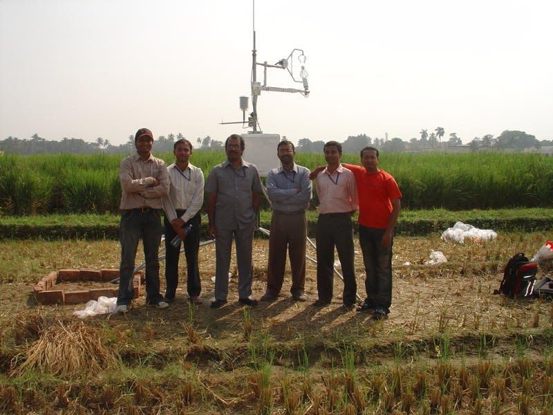 India: Rice-Field Greenhouse Gases image 1