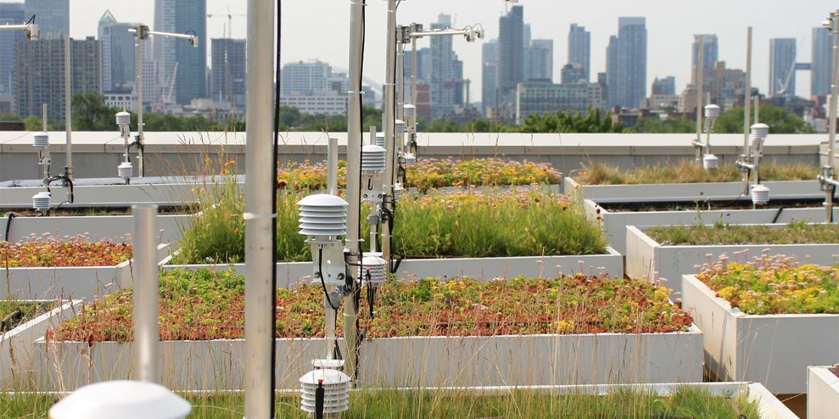 Ontario: Green Roofs