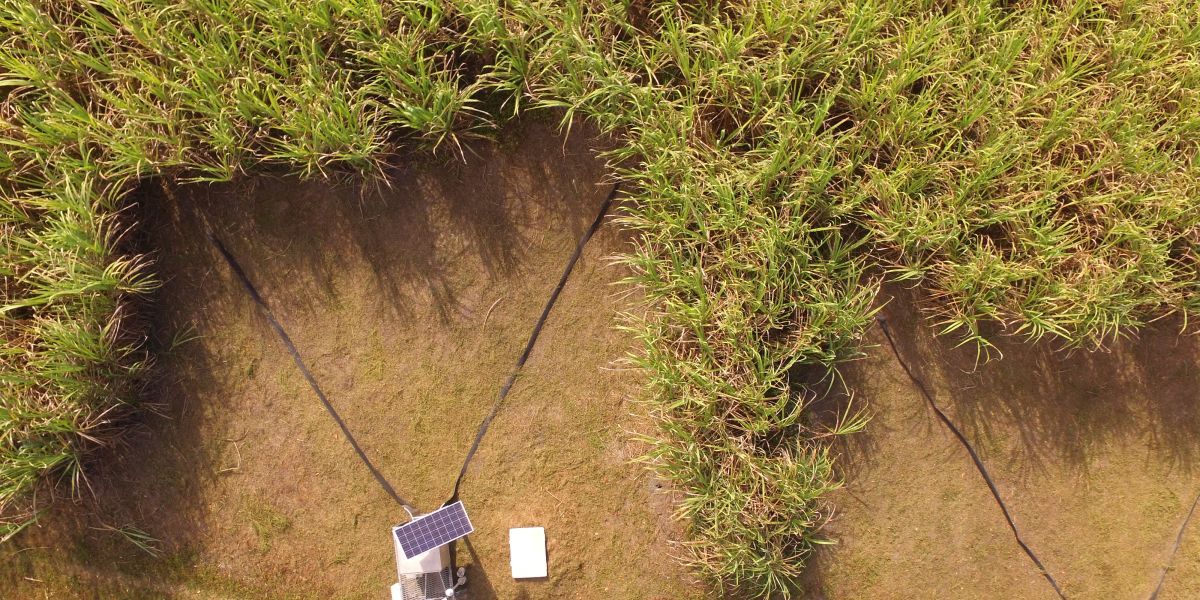 Australia: Sugarcane Soil Nutrient Monitoring
