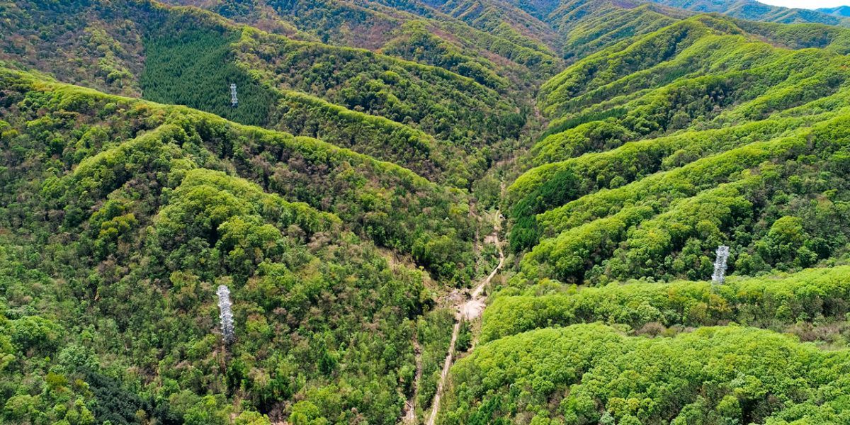 China: Flux Cooperation