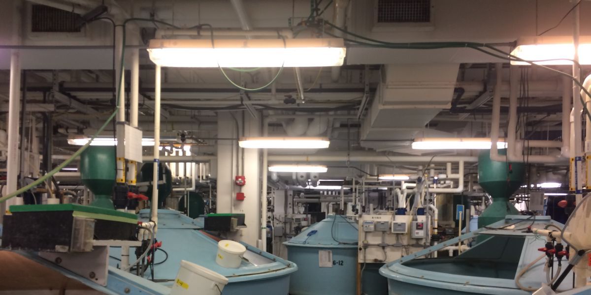 Maryland: Aquaculture Lab Alarm System