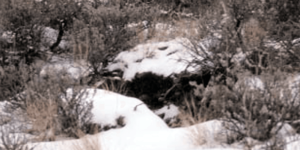Idaho: Slope Stability Monitoring