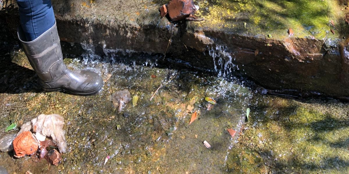 South Africa: Transforming a Polluted River