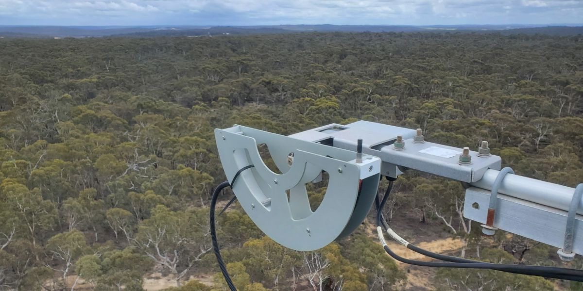 Australia: Using Sun-Induced Fluorescence to Detect Plant Stress