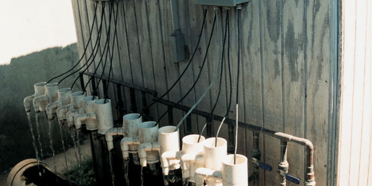 California: Monitoring Water Quality at a Recirculating Aquaculture Facility