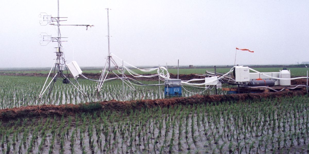 Korea: Flux Monitoring over a Rice Paddy