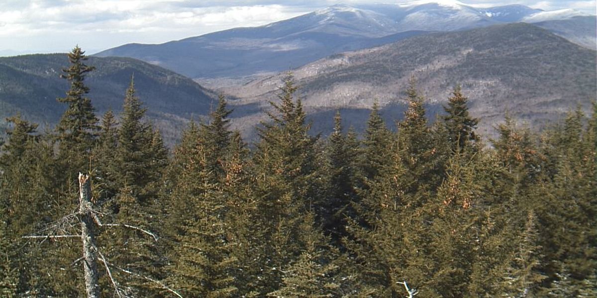New Hampshire: Webcams in Forest