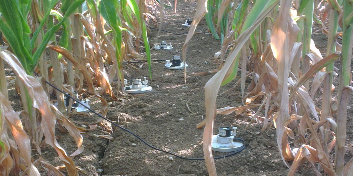 France: Studying Crop Yields