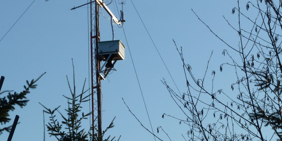 British Columbia: Forest Carbon Sequestration